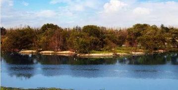 西安湿地公园爆料视频,自然美景引网友热议  第3张